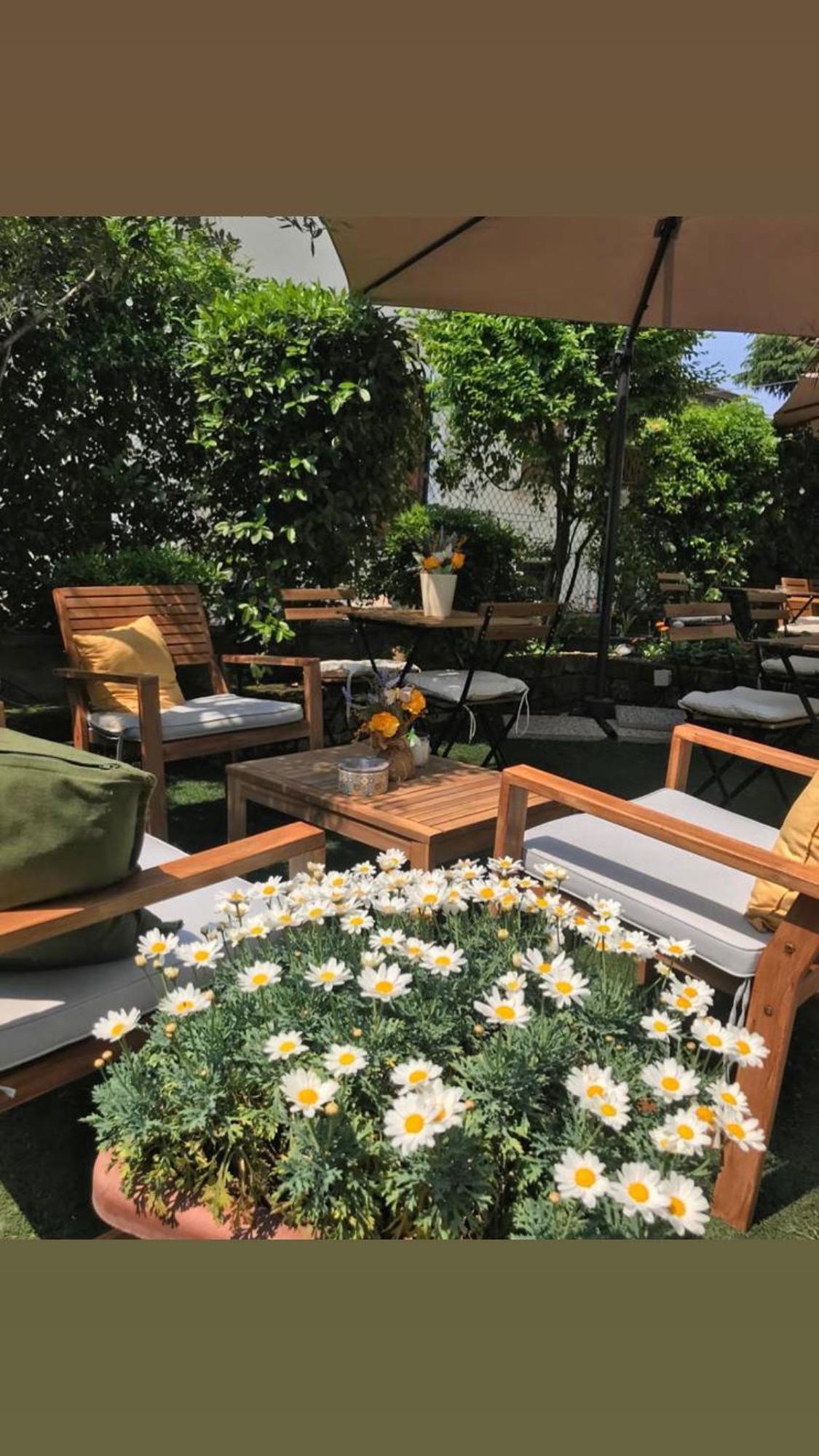 B&B Magnolia Verona Exterior photo